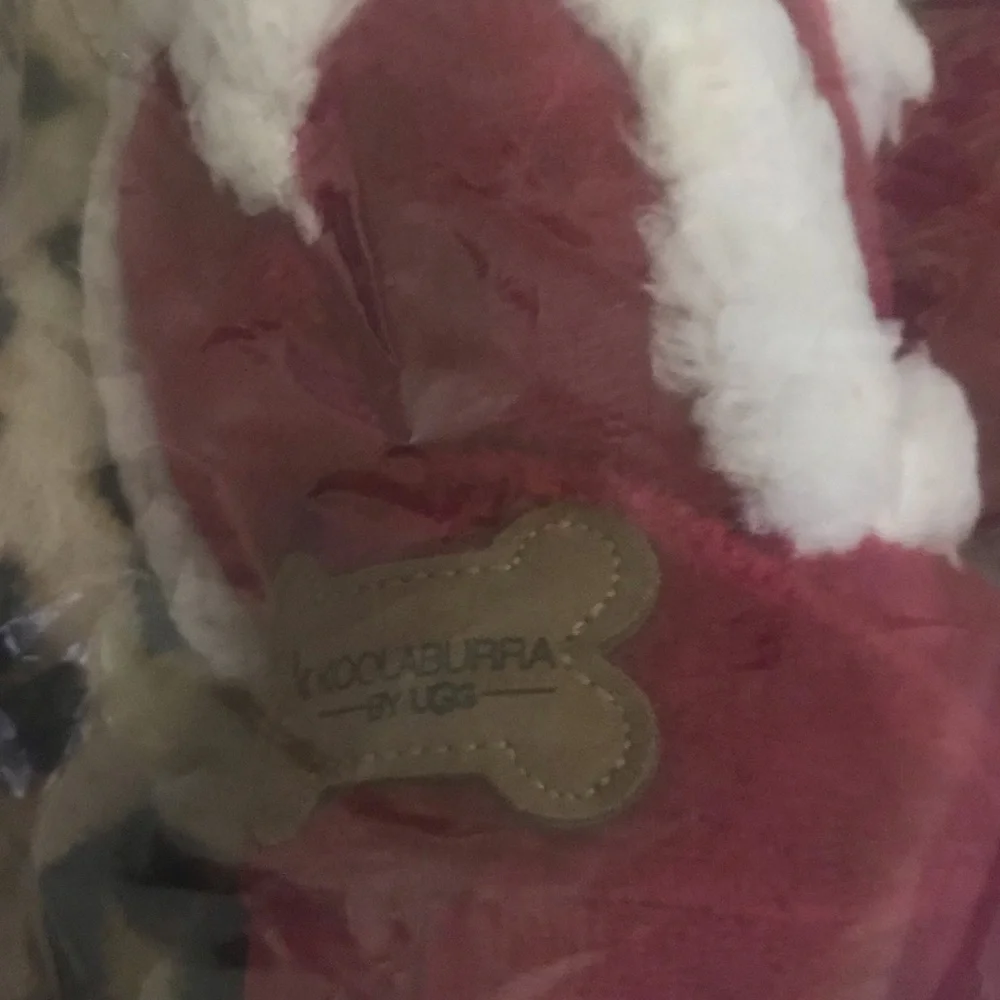 UGG nwt koola